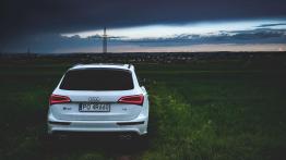 Audi SQ5 - galeria redakcyjna