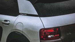 Citroen C4 Cactus Rip Curl - galeria redakcyjna