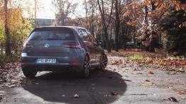 Volkswagen Golf VII R 5d Facelifting 2.0 TSI 300KM 221kW 2019-2020