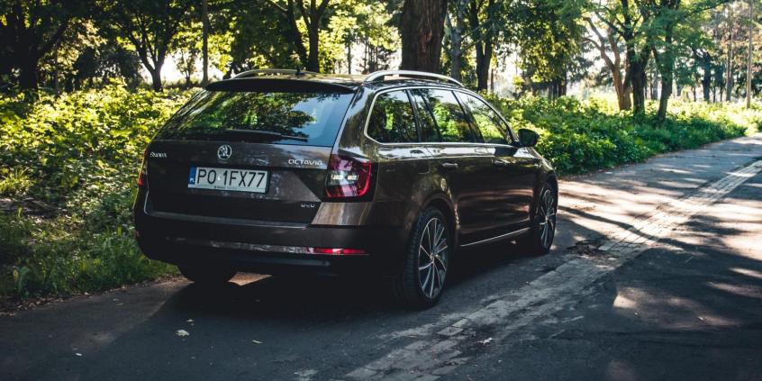 Skoda Octavia Combi L&K 2.0 TDI 184 KM - galeria redakcyjna