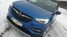 Opel Grandland X - galeria redakcyjna - widok z przodu