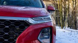 Hyundai Santa Fe 2.0 CRDI 185 KM - galeria redakcyjna - widok z przodu