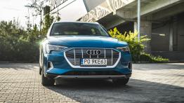 Audi e-tron - galeria redakcyjna - widok z przodu