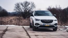 Opel Grandland X 1.2 Turbo - galeria redakcyjna - widok z przodu