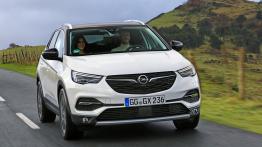Opel Grandland X Ultimate (2018)  - widok z przodu