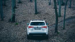 Lexus NX 300 - galeria redakcyjna (4) - widok z ty?u