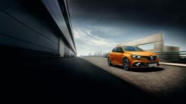 Renault Megane IV Hatchback 5d 1.2 Energy TCe 100KM 74kW 2016-2018