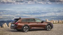 Opel Insignia Country Tourer (2017)