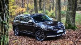Skoda Kodiaq Scout - galeria redakcyjna - inne zdj?cie