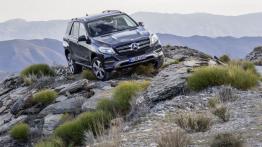Mercedes GLE 250 d 4MATIC (W 166) 2016 - widok z przodu