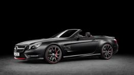 Mercedes SL R231 Roadster 350 BlueEFFICIENCY V6 306KM 225kW 2012-2015