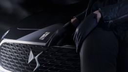 DS 5 Facelifting (2015) - logo