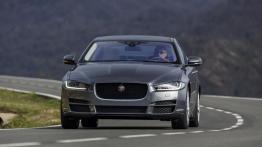Jaguar XE 2.0d Ammonite Grey (2015) - widok z przodu