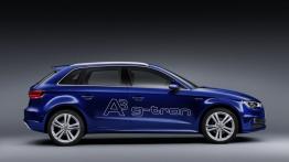Audi A3 Sportback g-tron (2013) - prawy bok