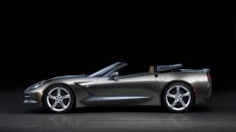 Chevrolet Corvette C7 Stingray Cabrio (2014) - lewy bok