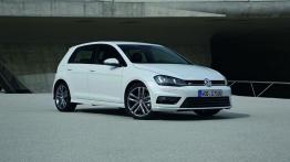 Volkswagen Golf VII Hatchback 5d 1.0 TSI BlueMotion  115KM 85kW 2015-2016