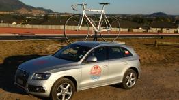 Audi Q5 I SUV Facelifting 3.0 TDI clean diesel 258KM 190kW od 2014