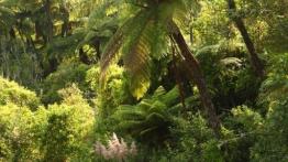 Audi Q5 w Nowej Zelandii - część 2 - galeria redakcyjna - inne zdjęcie