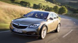 Opel Insignia Country Tourer (2013) - widok z przodu