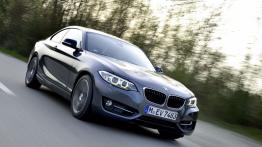 BMW 220i Coupe Sport Line (2014) - widok z przodu