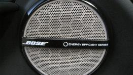 Renault Megane III Facelifting - galeria redakcyjna - głośnik w drzwiach przednich