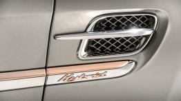 Bentley Hybrid Concept (2014) - wlot powietrza