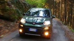 Fiat Panda III 4x4 1.3 Multijet  95KM 70kW 2015-2016