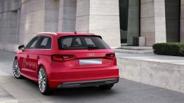 Audi A3 III Sportback e-tron (2013) - widok z tyłu