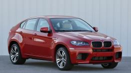 BMW X6 E71 M Crossover 4.4 V8 555KM 408kW 2009-2011