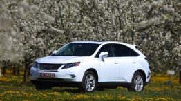 Lexus RX III SUV 350 277KM 204kW 2009-2015