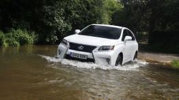 Lexus RX 450h F Sport - widok z przodu