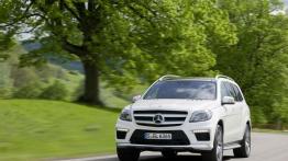 Mercedes Klasa GL X166 Off-roader AMG 63 AMG 558KM 410kW 2012-2015