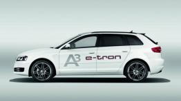 Audi A3 8P Sportback 1.9 TDI e 105KM 77kW 2007-2010