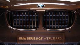 BMW seria 5 GT Trussardi - grill