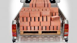 Toyota Hilux VII Single Cab - widok z tyłu