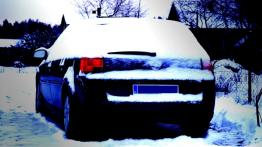 Opel Signum  Hatchback - galeria społeczności - widok z tyłu