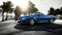 BMW Seria 6 F06-F12-F13 M6 Cabrio