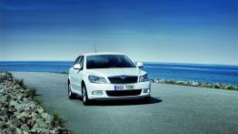 Skoda Octavia II GreenLine Hatchback Facelifting - widok z przodu