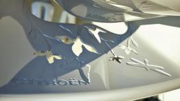 Citroen C-Cactus Concept - kierownica