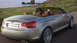 Citroen C5 Airscape Concept - widok z tyłu