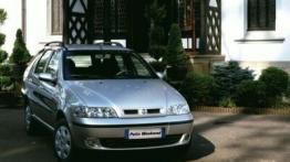 Fiat Palio Weekend - widok z przodu