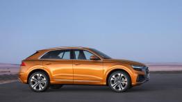 Audi Q8 uzupełnia gamę SUV-ów z Ingolstadt