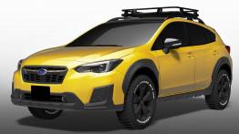 Zapowiedź nowego WRX STI i nie tylko