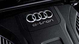 Hybrydowy SUV Audi wjeżdża do sprzedaży