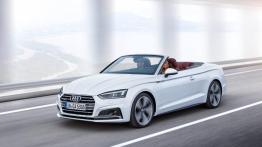Audi A5/S5 Cabrio w pełnej krasie