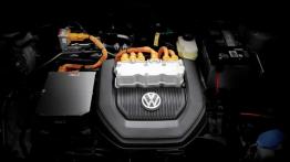 Volkswagen e-Golf trafia na rynek w Niemczech