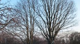 Toyota Hilux – poskromić potwora