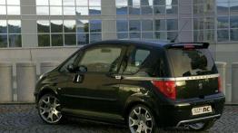 Ofiara praktyczności - Peugeot 1007