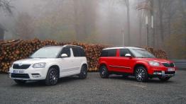Skoda Yeti - spokojnie, to tylko kosmetyka