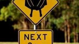 Polskie drogi - aleje znaków drogowych...